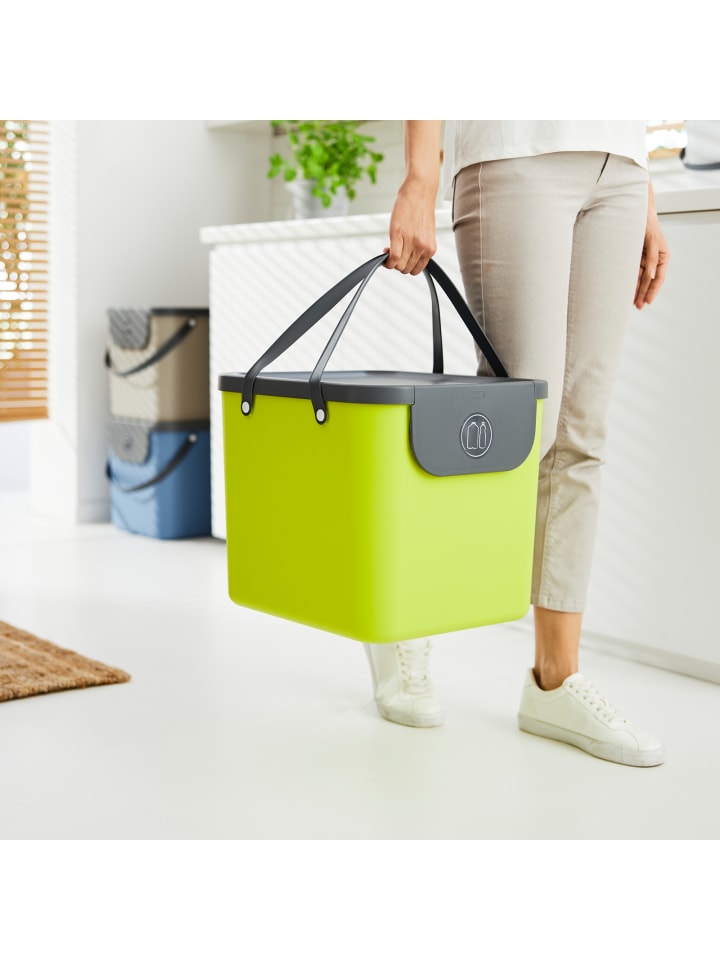 Rotho Albula Mülltrennungssystem 40 l für die Küche in Limette günstig kaufen onesize