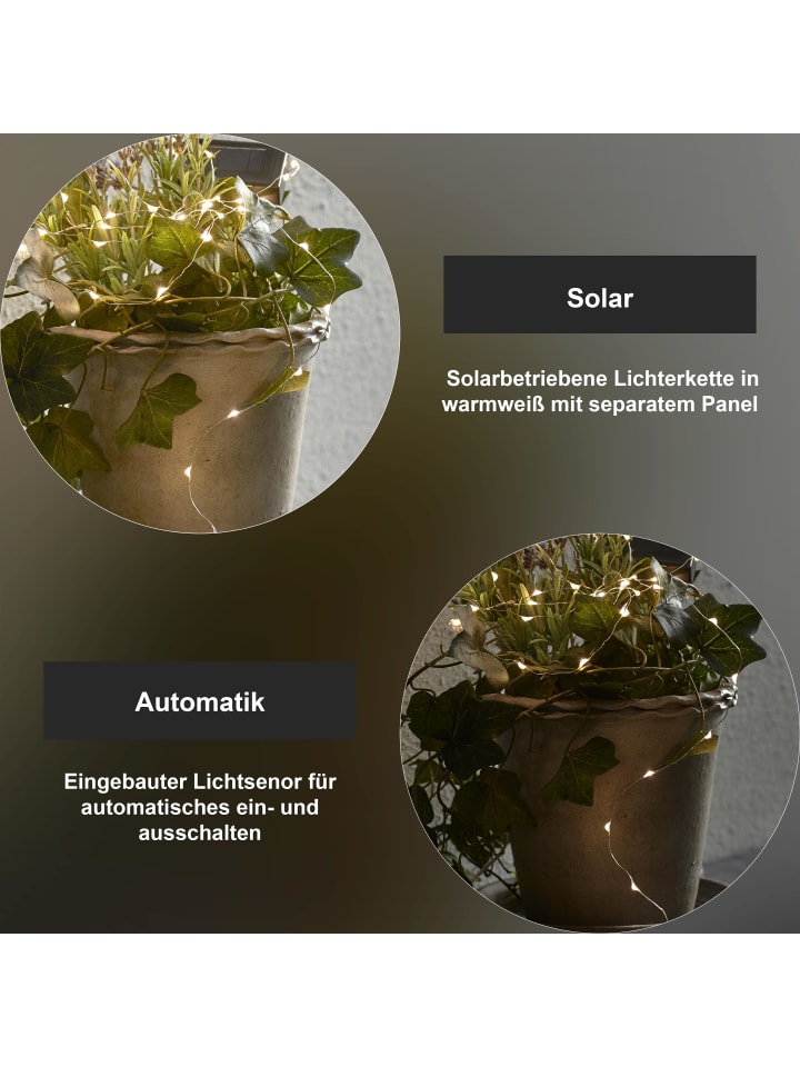 STAR Trading Solar LED-Lichterkette Dew Drop warmweiß (50 LEDs, Batterie) günstig kaufen onesize