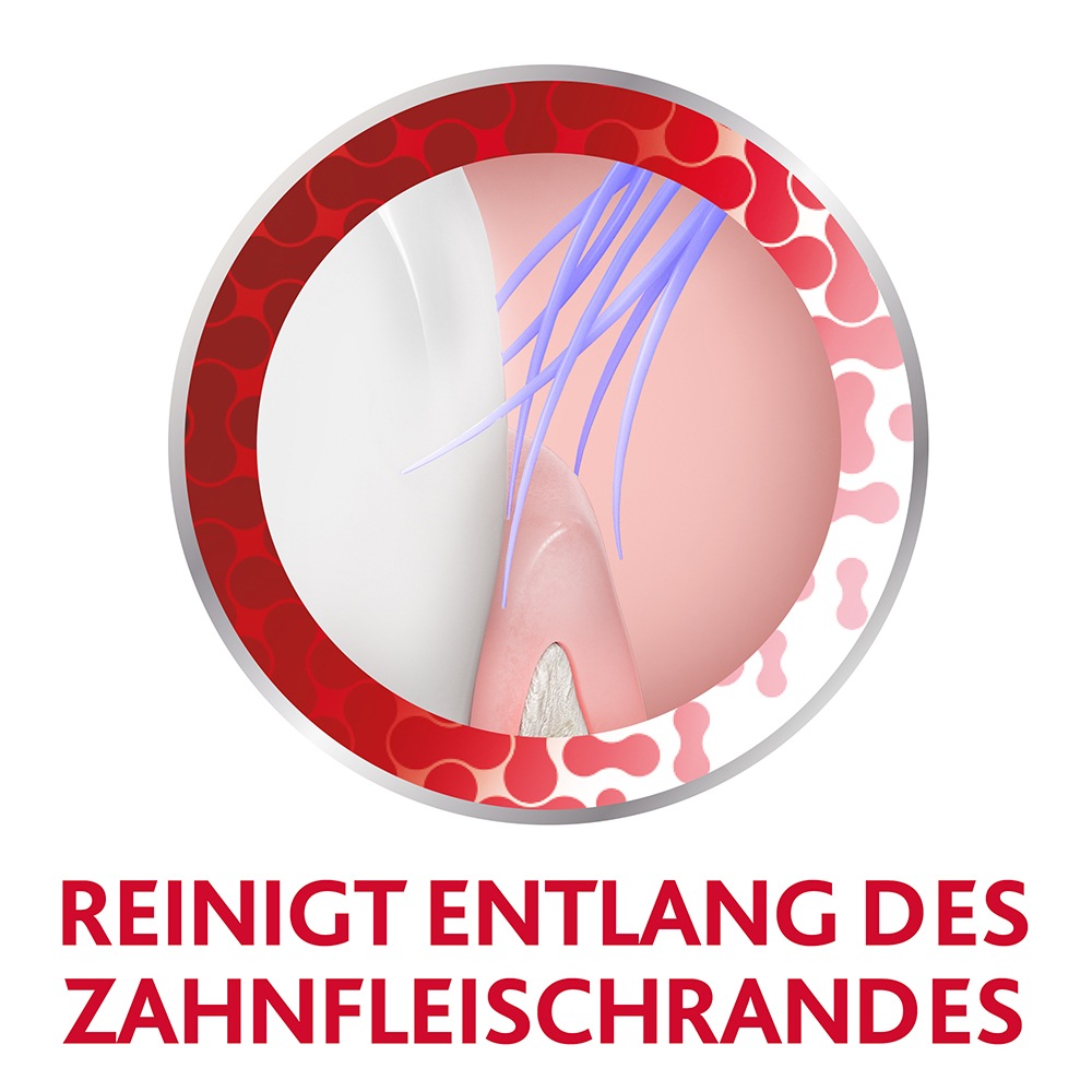 Complete Protection Zahnbürste