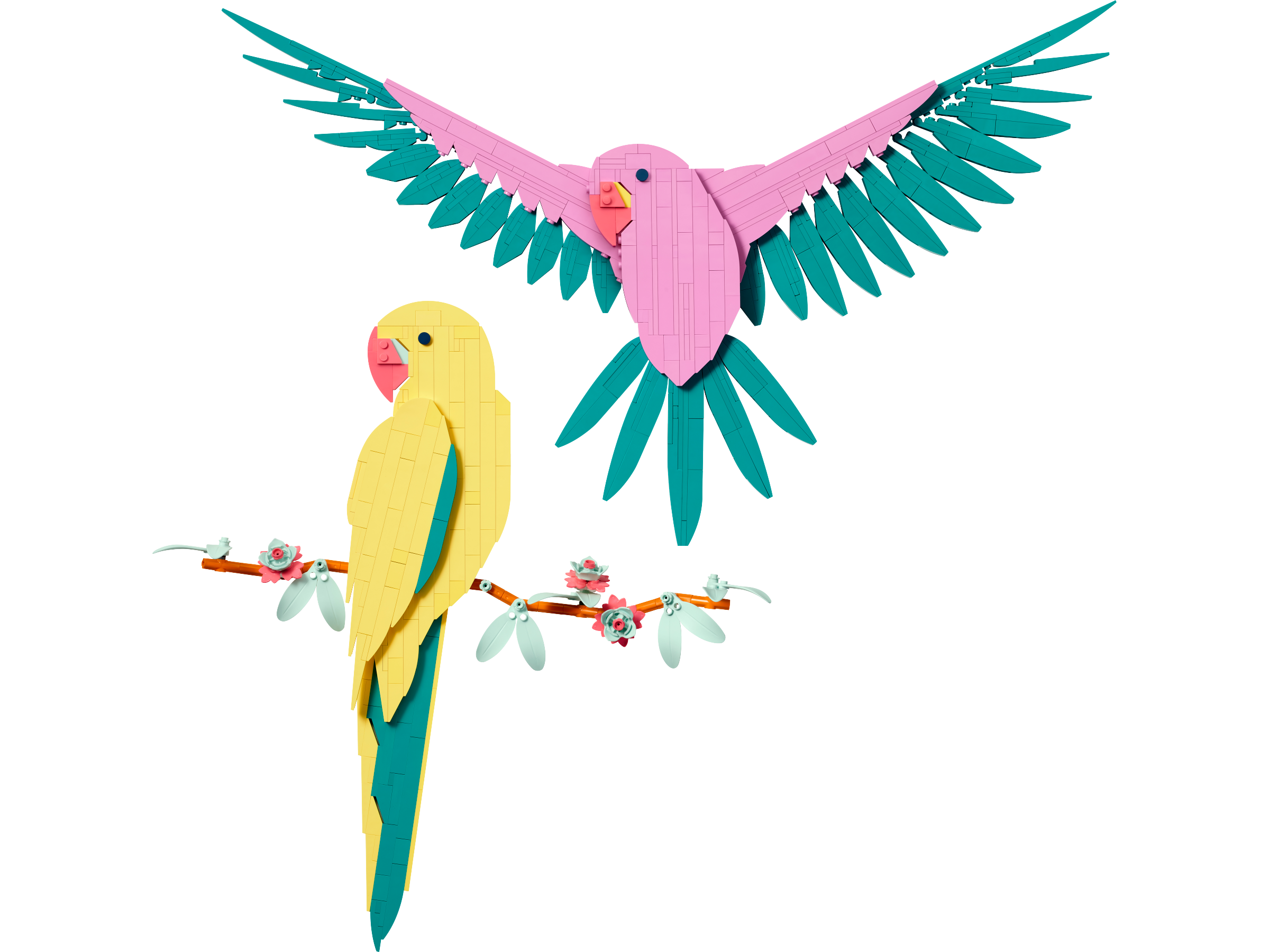 Die Fauna Kollektion – Aras 31211
