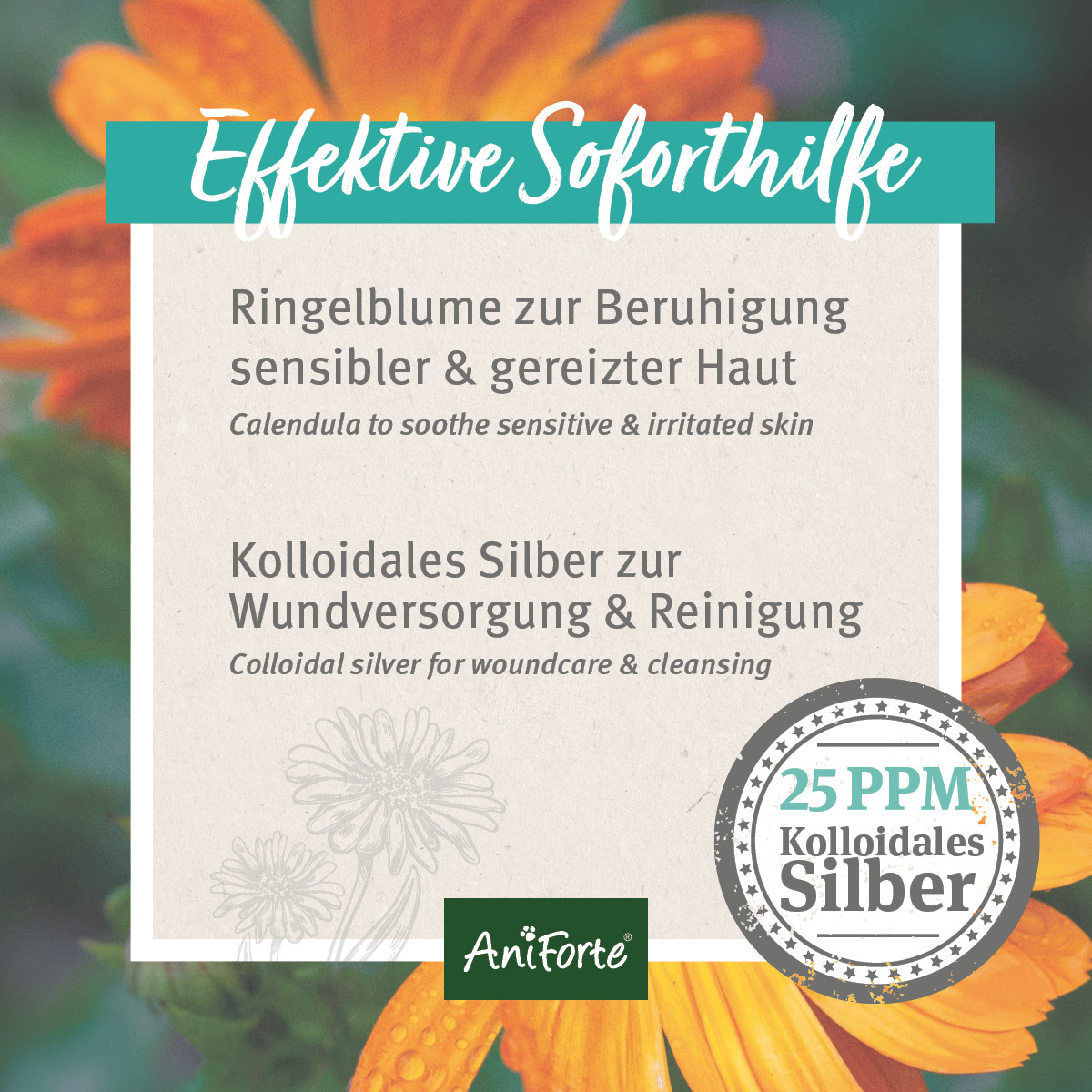 Aniforte Augen- & Ohrenpflege Aniforte VET Ohrentropfen 50ml