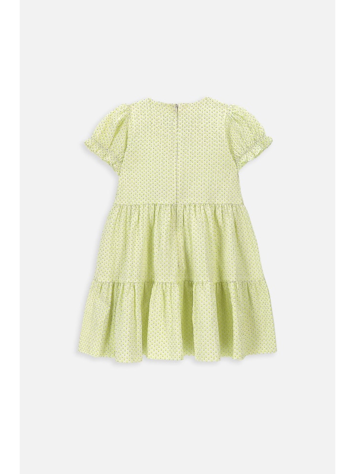 Coccodrillo Kleid in bunt günstig kaufen