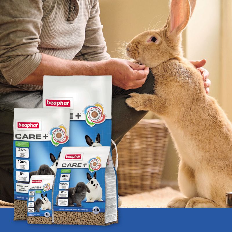 beaphar Care+ Kaninchen zu TOP-Preisen