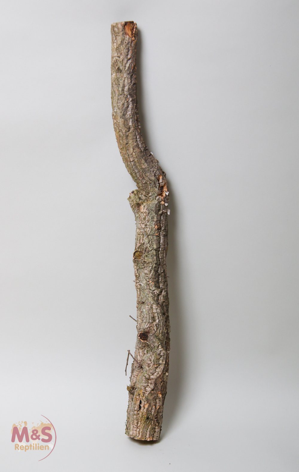 M&S Reptilien Terrarium Zierkork Tronchos -einfach- ca.100 cm (ca. 1-2 kg)