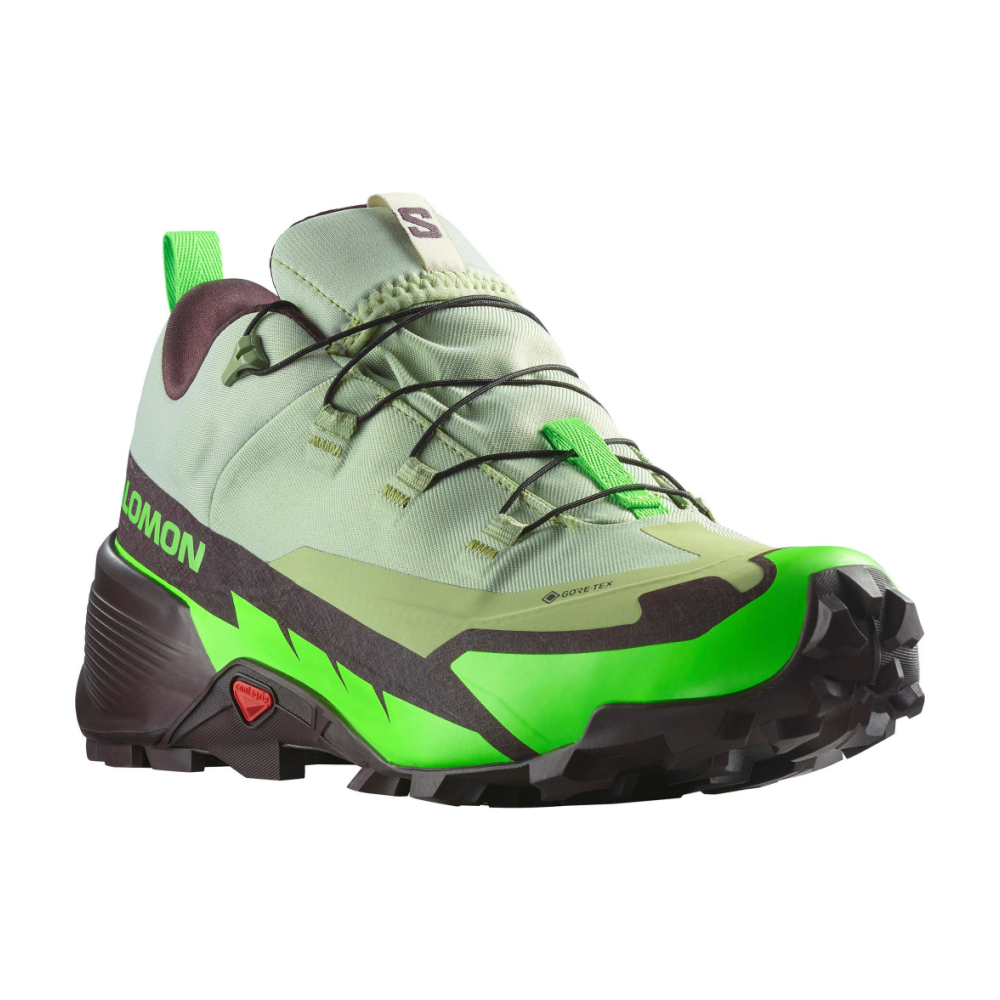 Salomon CROSS HIKE 2 GORE TEX L47277600 / bunt