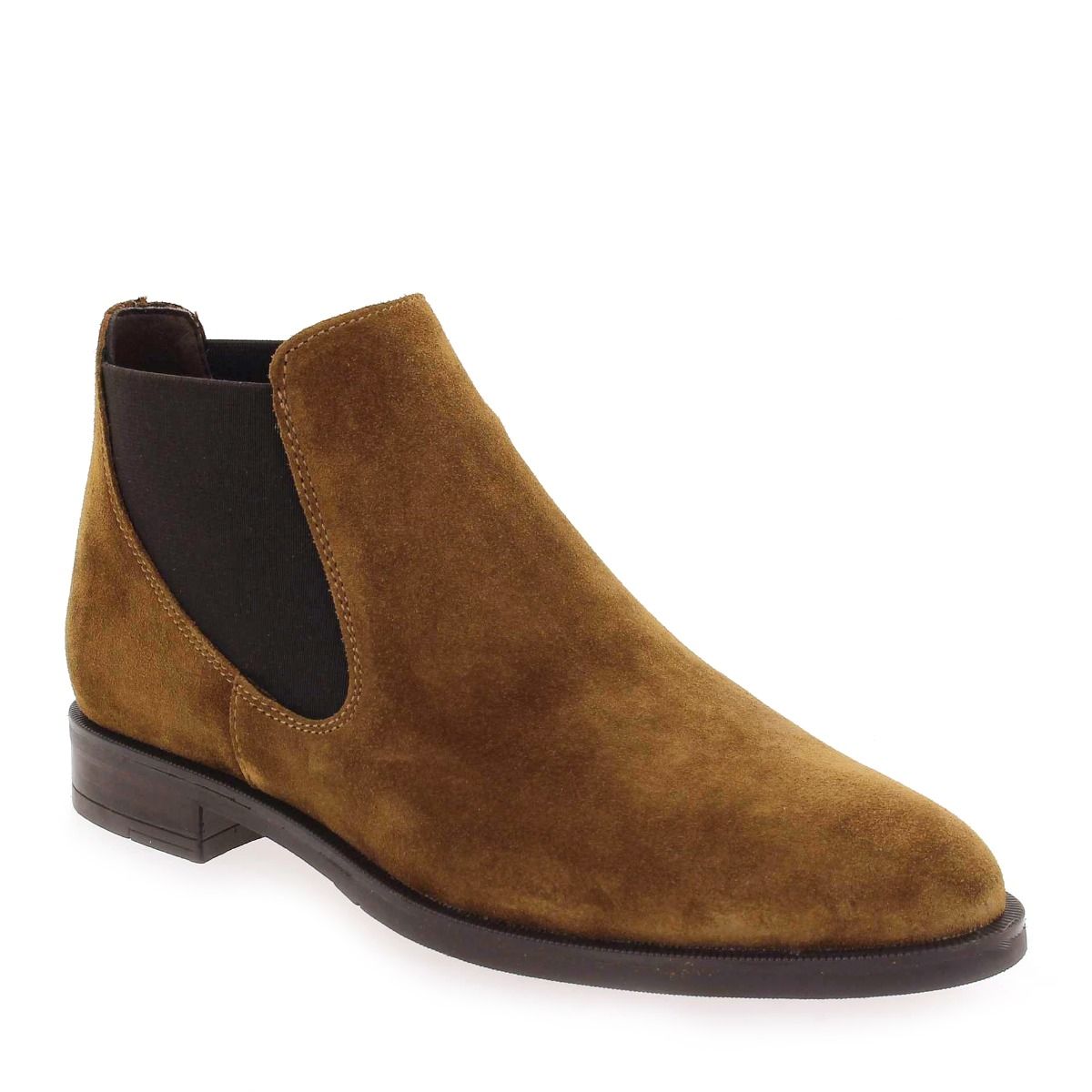 Alpe  2646 - camel