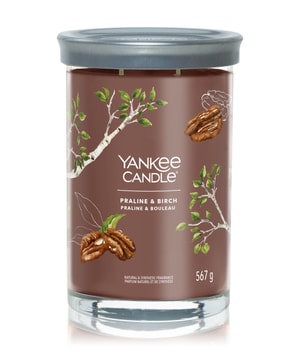 Yankee Candle Praline & Birch Signature Large Tumbler Duftkerze-567 g