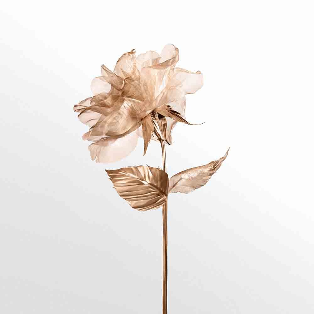 Tiffany & Co. Rose Gold Eau de Parfum Nat. Spray
