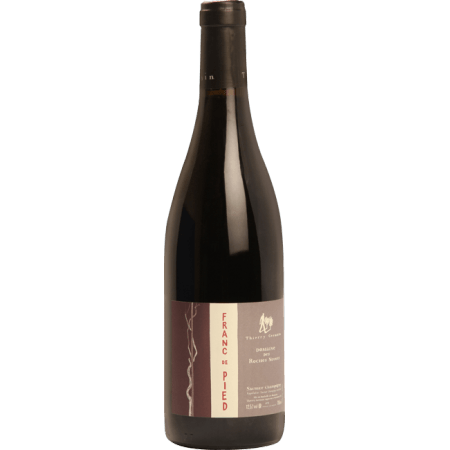 FRANC DE PIED 2022 - DOMAINE ROCHES NEUVES THIERRY GERMAIN