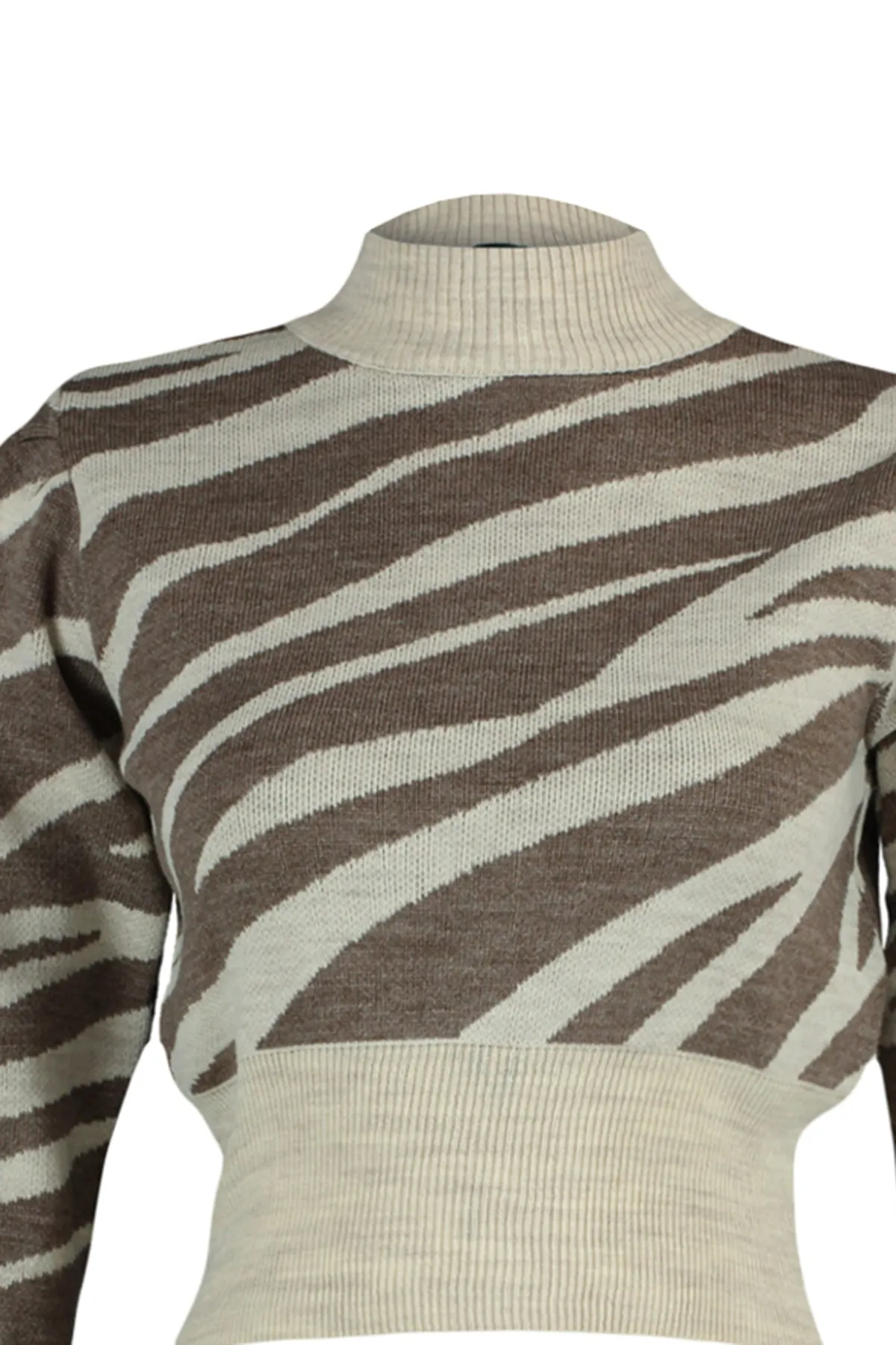 Trendyol Collection  Nerz Strickpullover mit Stehkragen TWOAW21KZ0010