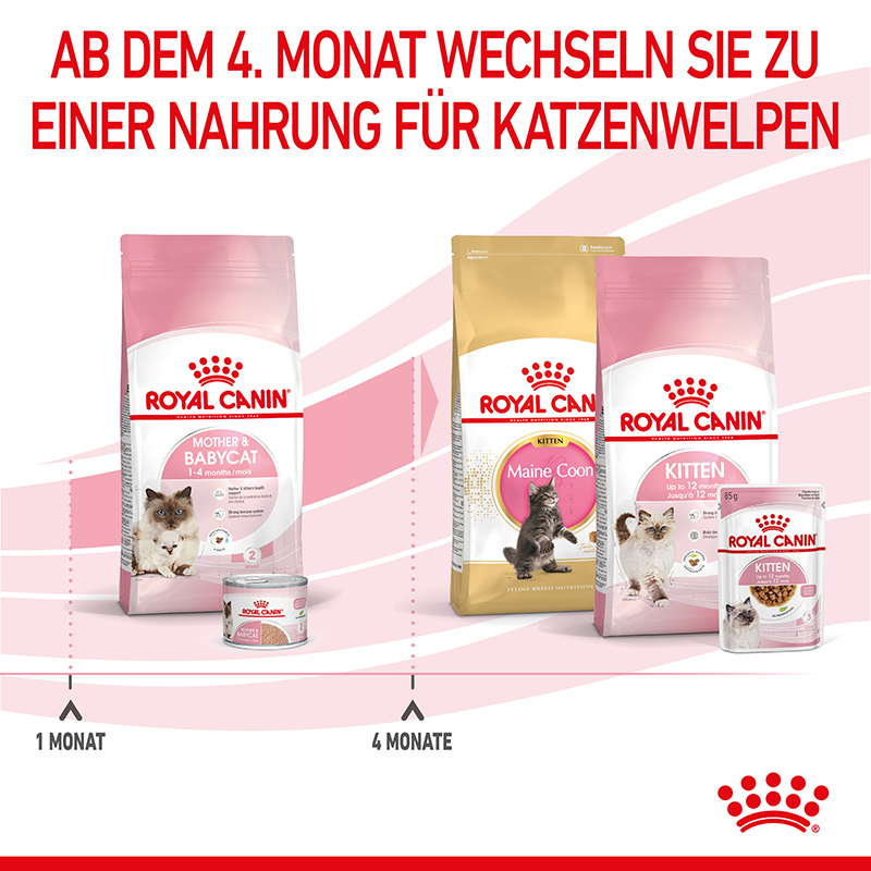 ROYAL CANIN Trockenfutter ROYAL CANIN Mother & Babycat 4 kg