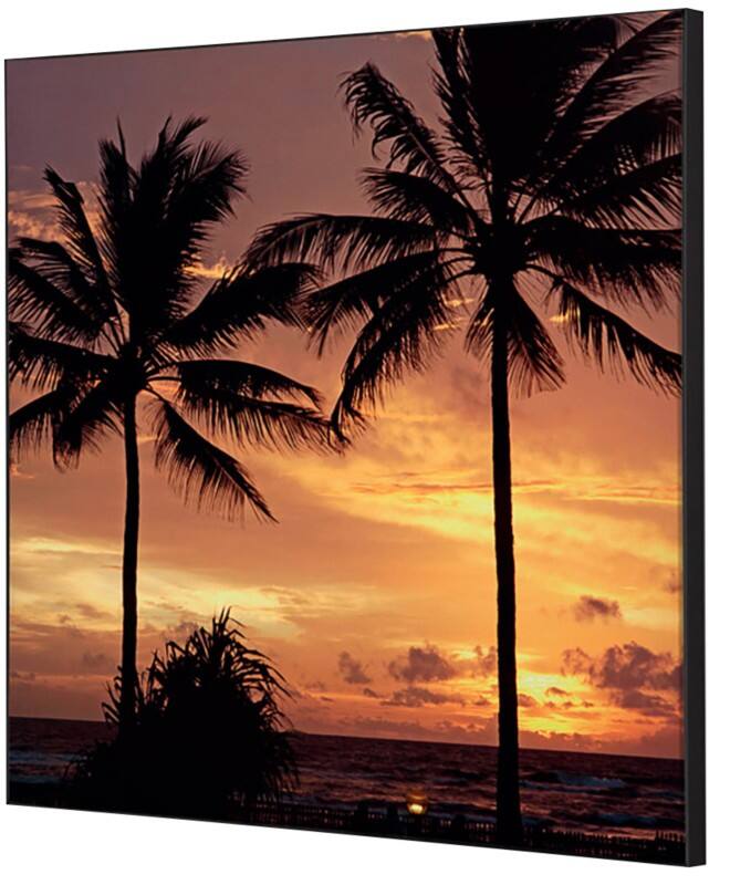 SHOWDOWN Textile Wanddekoration Palmen Sonnenuntergang Mehrfarbig Aluminium