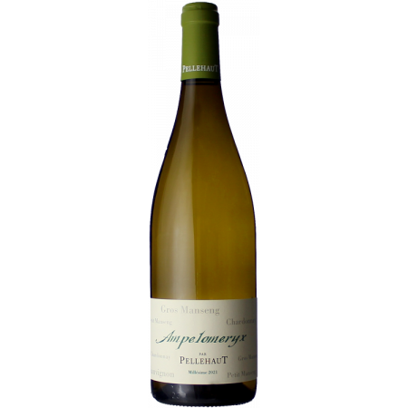 AMPELOMERYX BLANC 2022 - DOMAINE PELLEHAUT