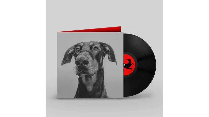POSTINDUSTRIAL HOMETOWN BLUES (Black LP Gatefold)