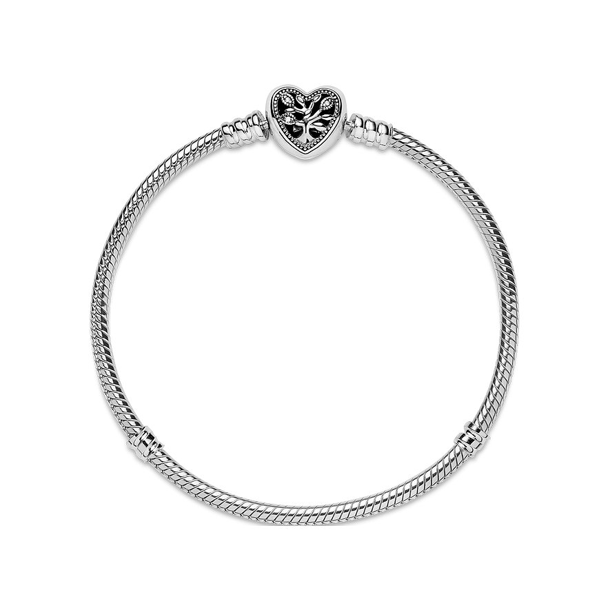 Pandora Armband Moments