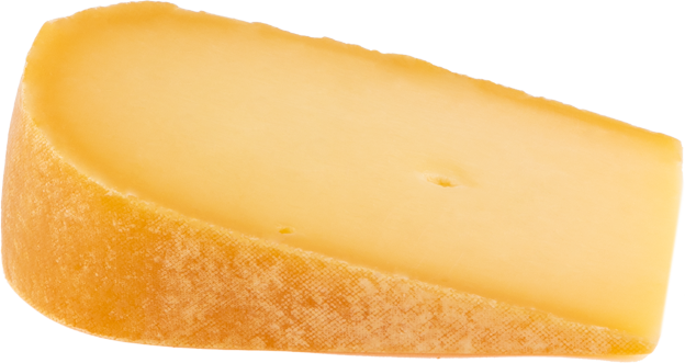 Hafenkäserei Der Fröhliche Fähnrich Bio-Schnittkäse