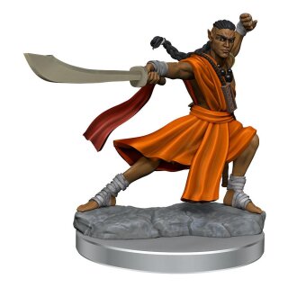 D&D Frameworks: Elf Monk Male