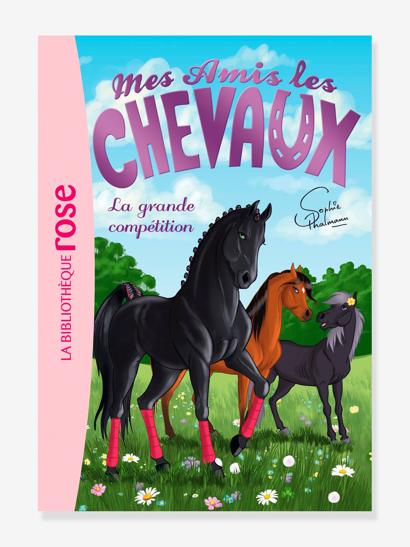 Mes amis les chevaux