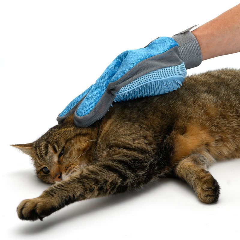 Fellpflege Handschuh zu TOP-Preisen