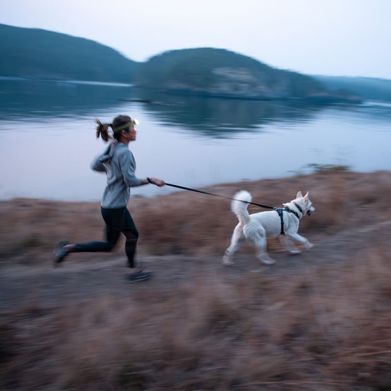 Ruffwear Front Range Hundegeschirr, Basalt Gray