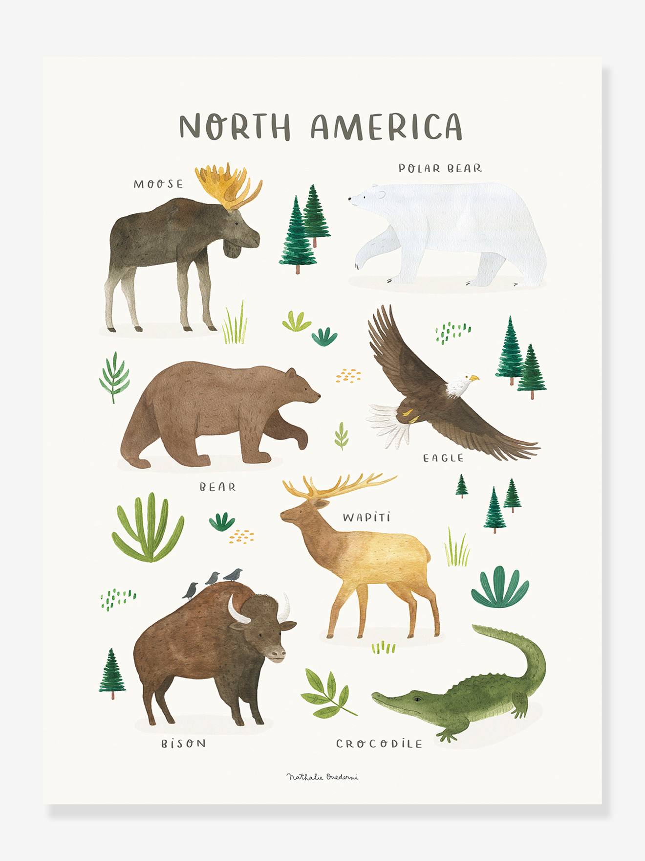 Affiche Animaux d'Amérique du Nord Living Earth LILIPINSO marron