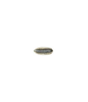 MAC Brushes 190 Foundation Foundationpinsel-1 Stk