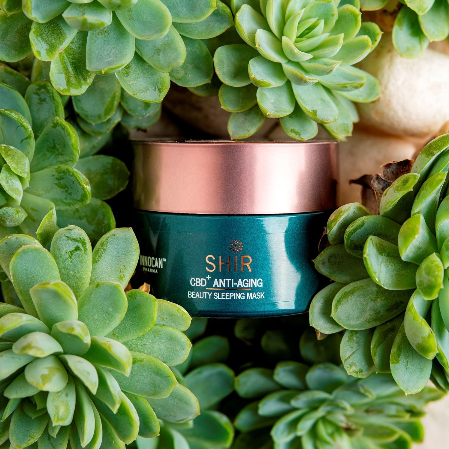 SHIR BEAUTY Nočná maska proti starnutiu s koncentrovaným CBD