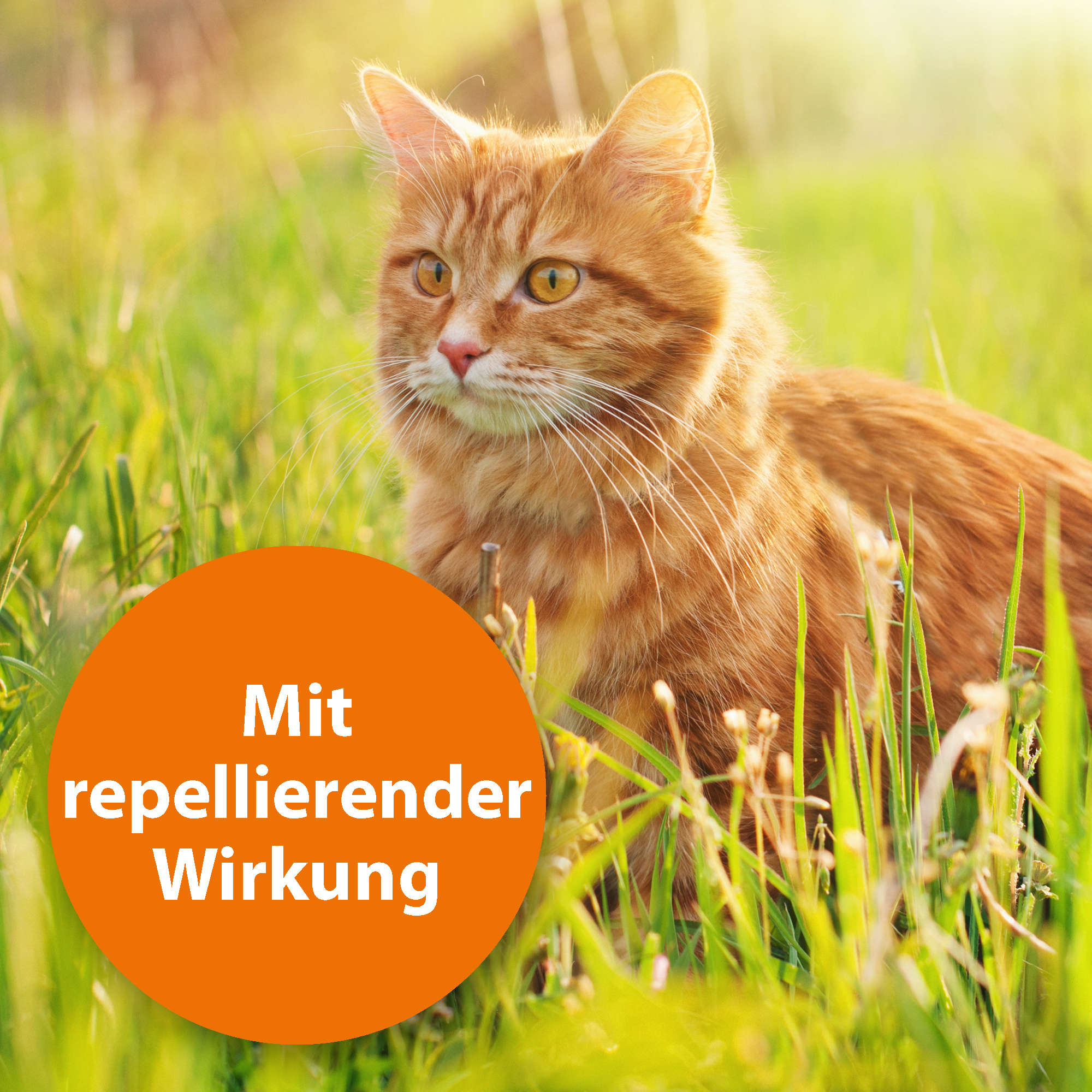 Ardap Ungeziefer- & Zeckenschutz Ardap Zecken- & Floh-Halsband für Katzen