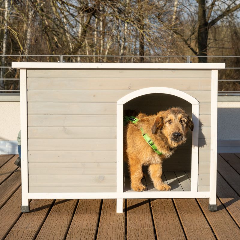 Modern Living Bergen Faltbare Hundehütte zu TOP-Preisen | bitiba