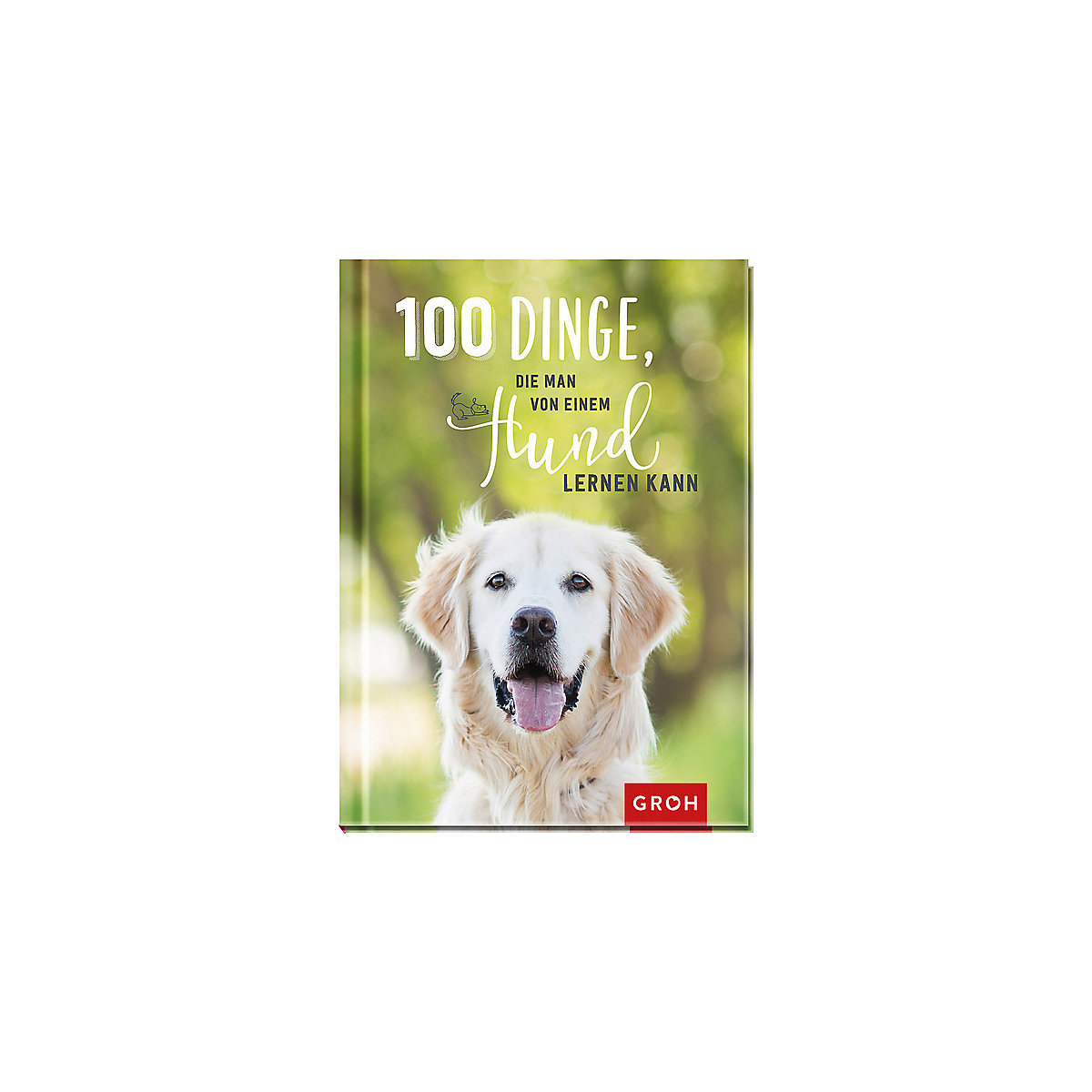 100 Dinge, die man von einem Hund lernen kann
