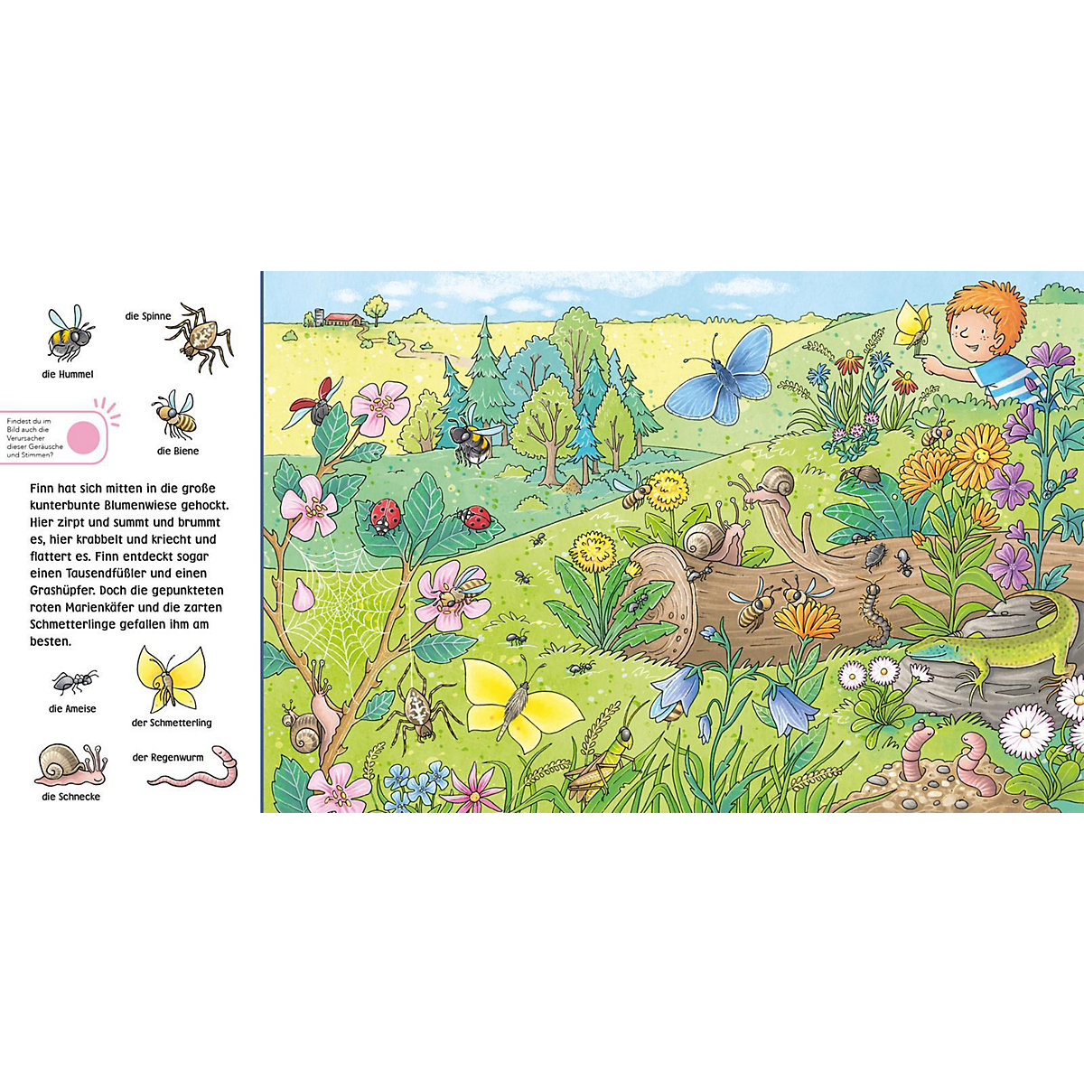 Hör mal (Soundbuch): Wimmelbuch: Wald und Wiese