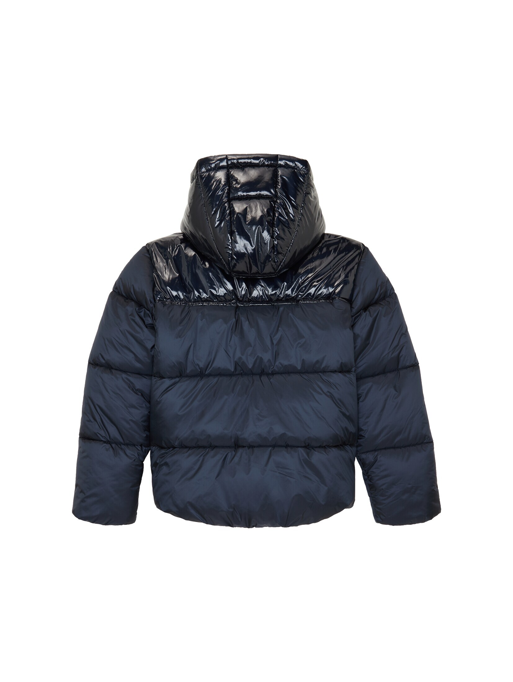 Winter Jacket