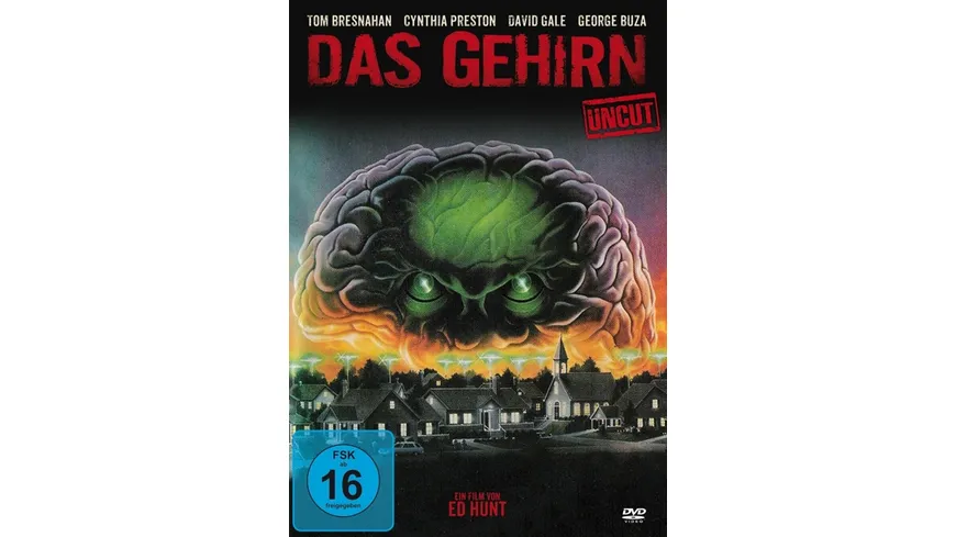 Das Gehirn