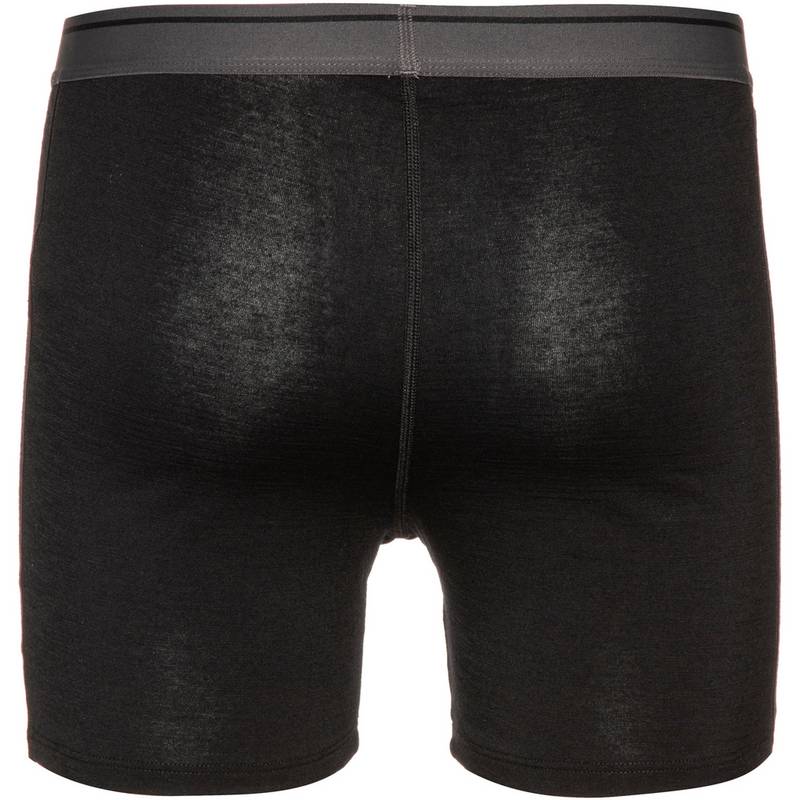 Icebreaker Anatomica Unterhose Herren