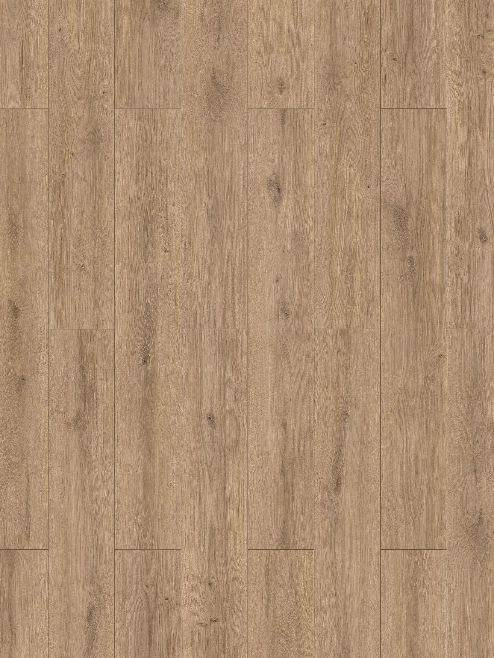 Cottage Klick-Laminat, Grey Light Oak 65382