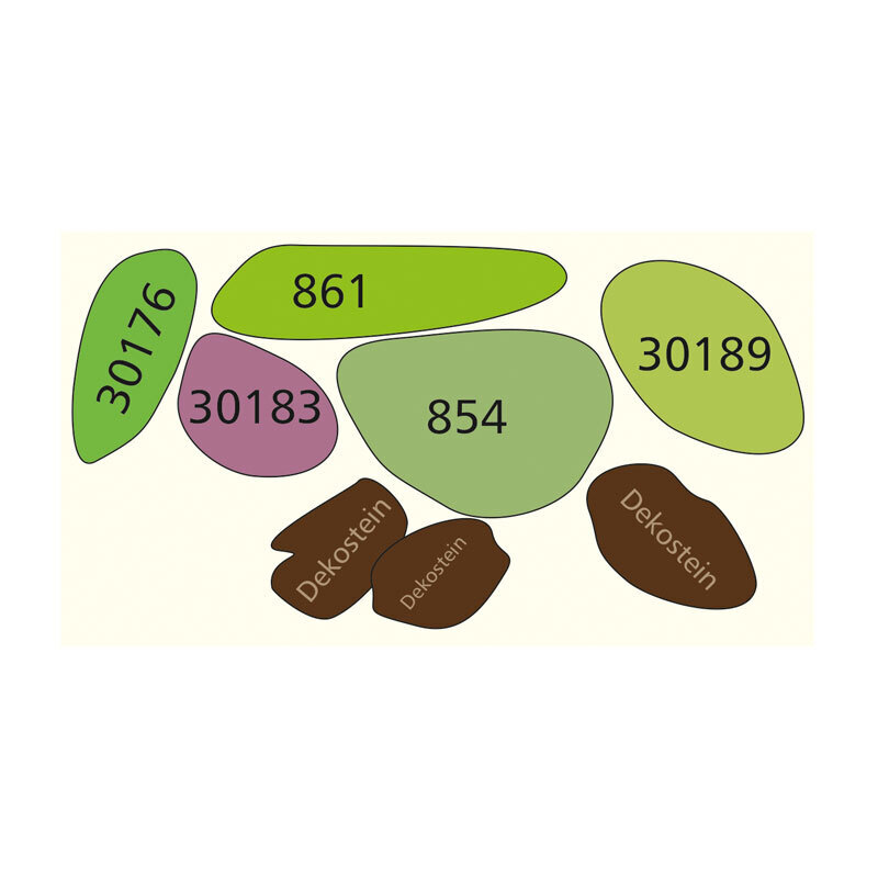 DENNERLE Pflanzen DENNERLE Wasserpflanzen-Set 