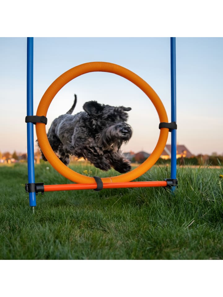 relaxdays 76-tlg. Agility Set in Blau/ Orange günstig kaufen onesize