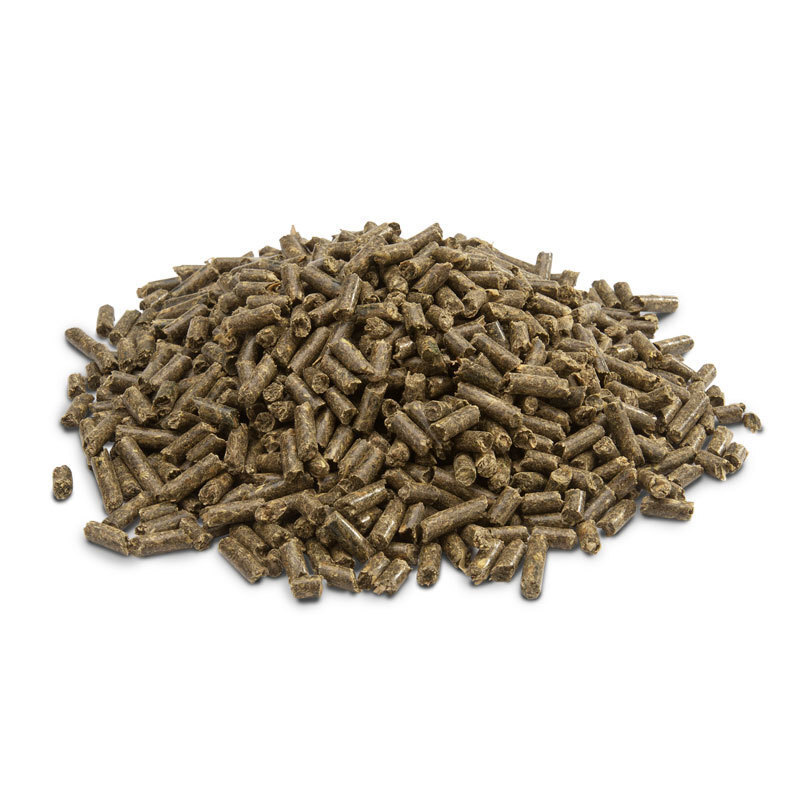 Versele-Laga Hauptfutter Versele-Laga Versele Laga Crispy Pellets Breeder Guinea Pigs 25kg