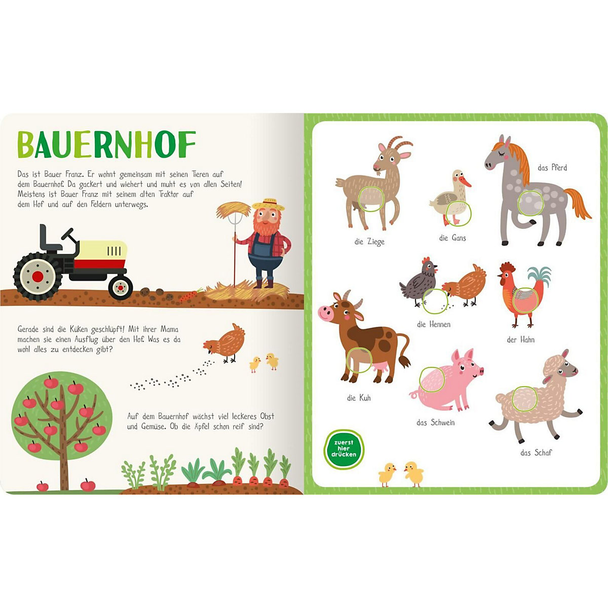 Mein kunterbuntes Soundbuch: Tiere, mit Soundeffekten