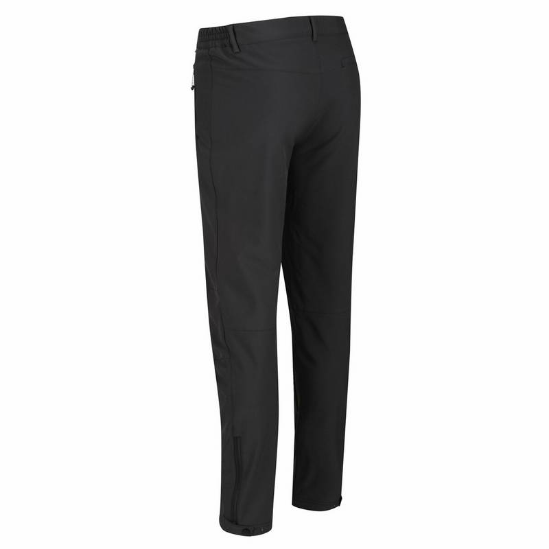 Regatta Geo II Wanderhose Herren
