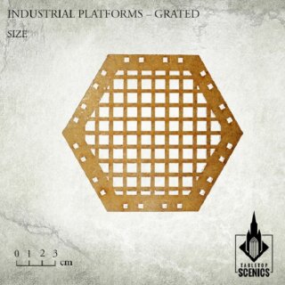 Industrial Platforms Grated