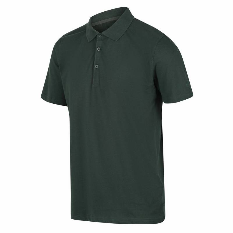 Regatta Sinton Poloshirt Herren
