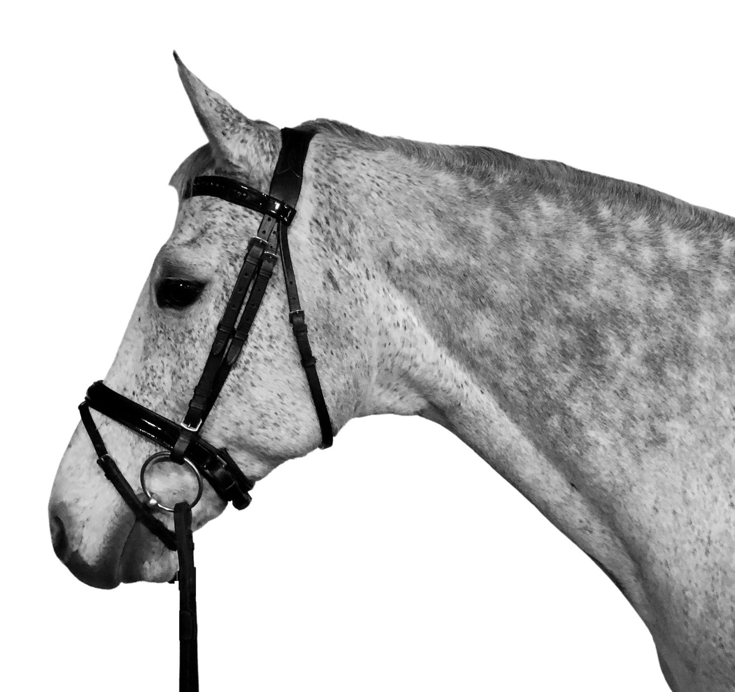 Horse Guard Trensenzaum Horse Guard Trense Zügel Antirutsch Leder schwarz ergonomisch