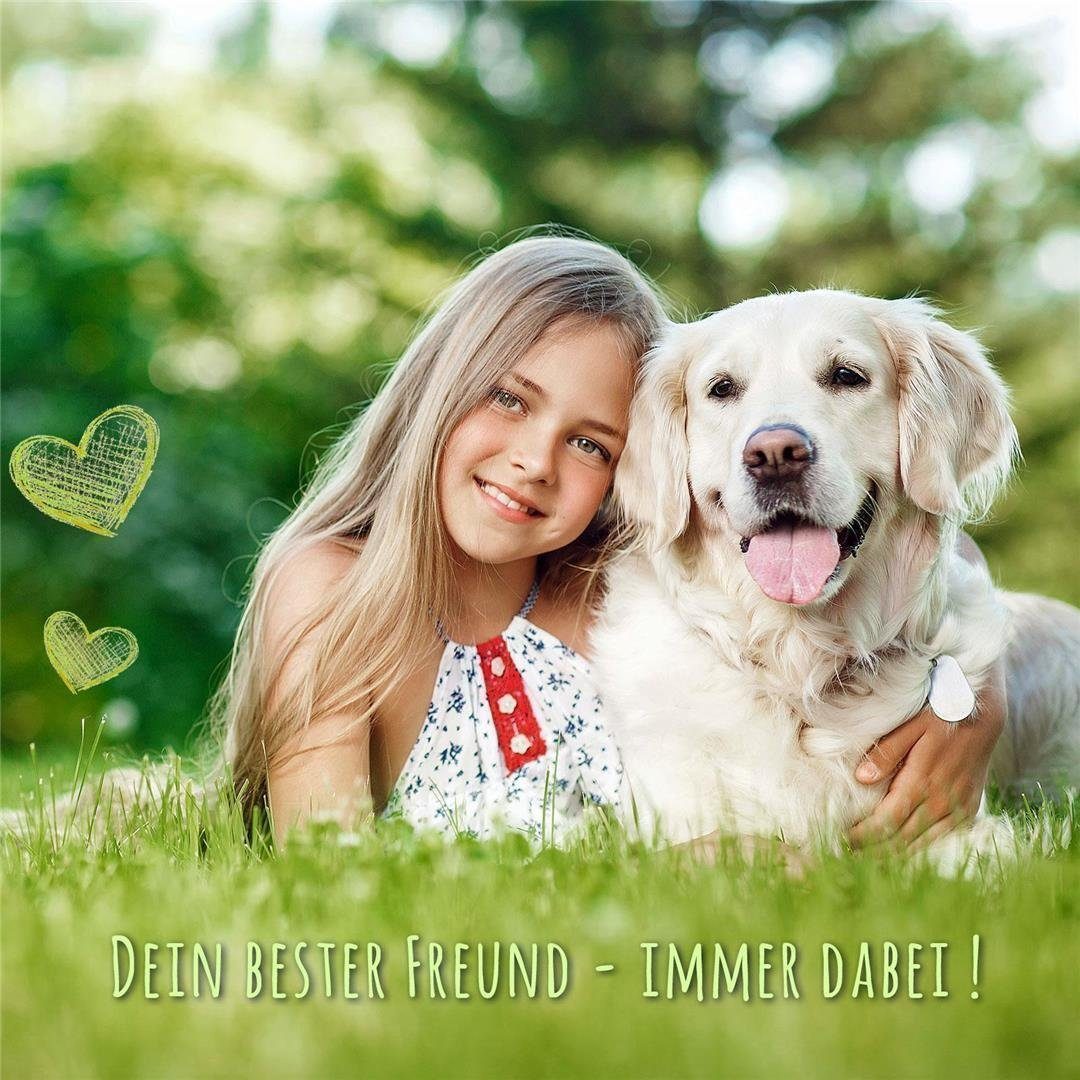 Monkimau Hunde-Halsband Hundehalsband aus Leder mit Nieten, Leder