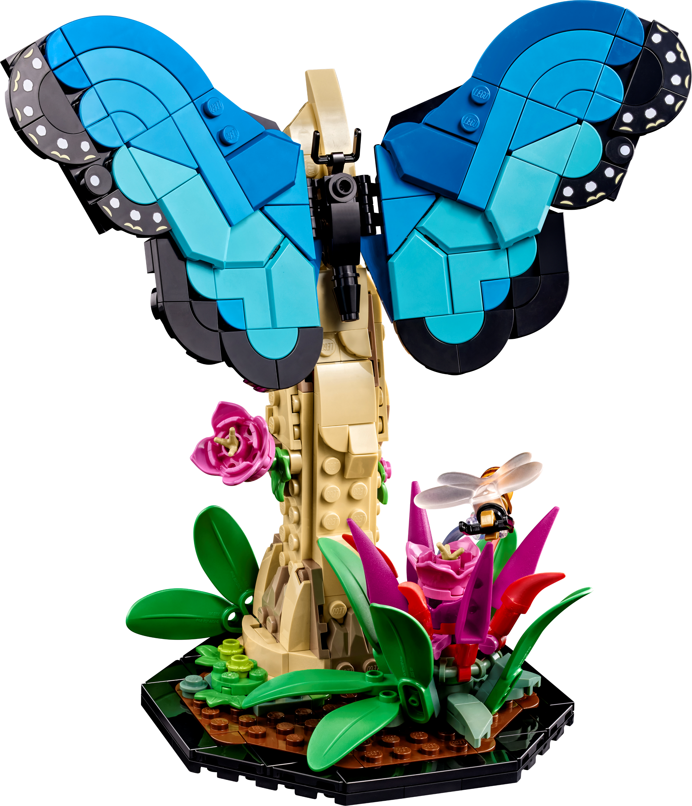 Die Insektensammlung 21342