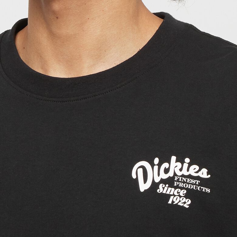 Dickies Raven Tee Short Sleeve Black schwarz