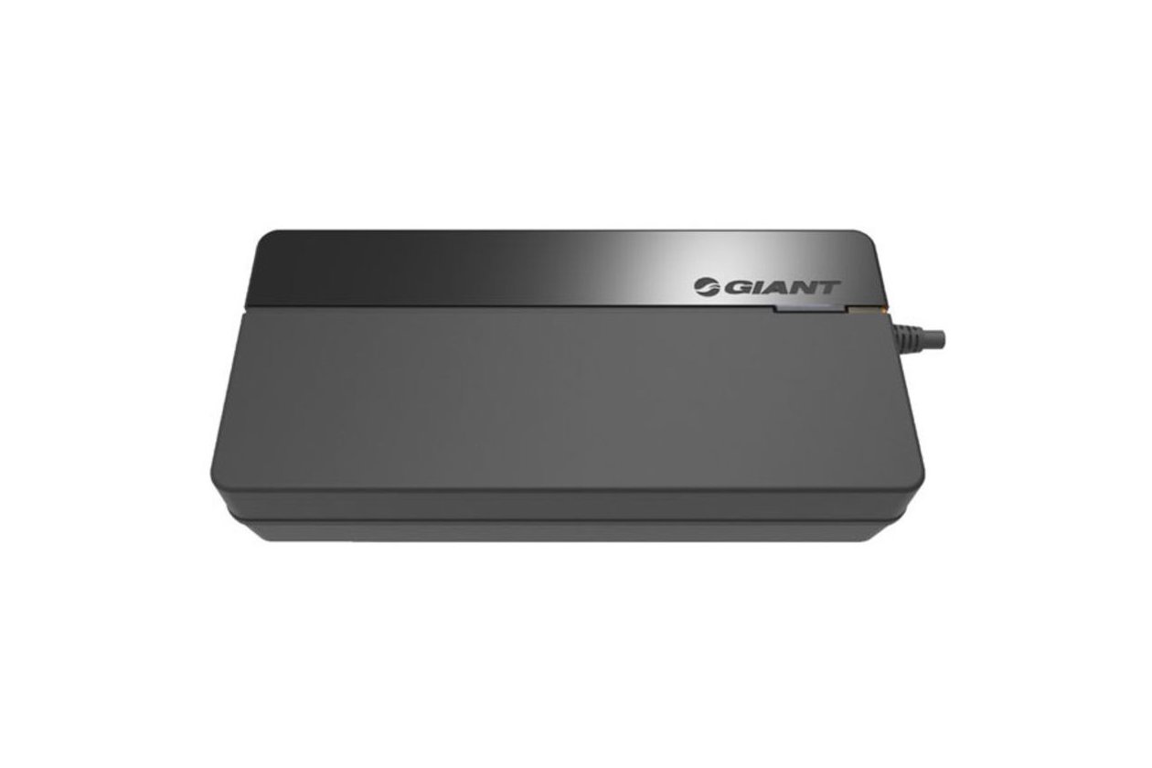 Giant Ladegeru00e4t Smart Charger (vollintegrierte Akkus) - 6A