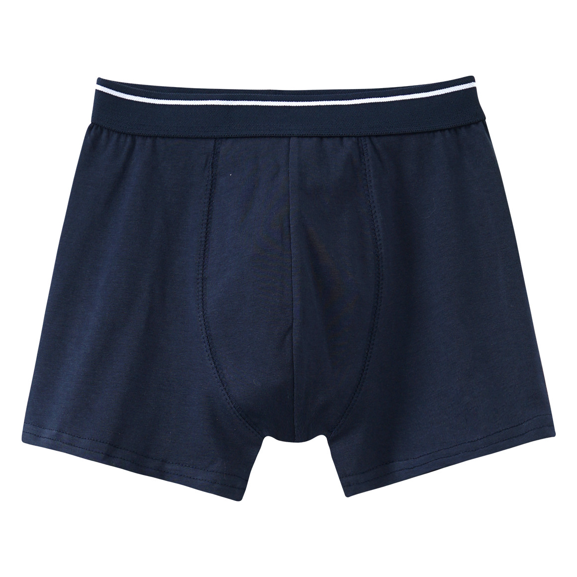 5 Jungen Boxer in verschiedenen Dessins