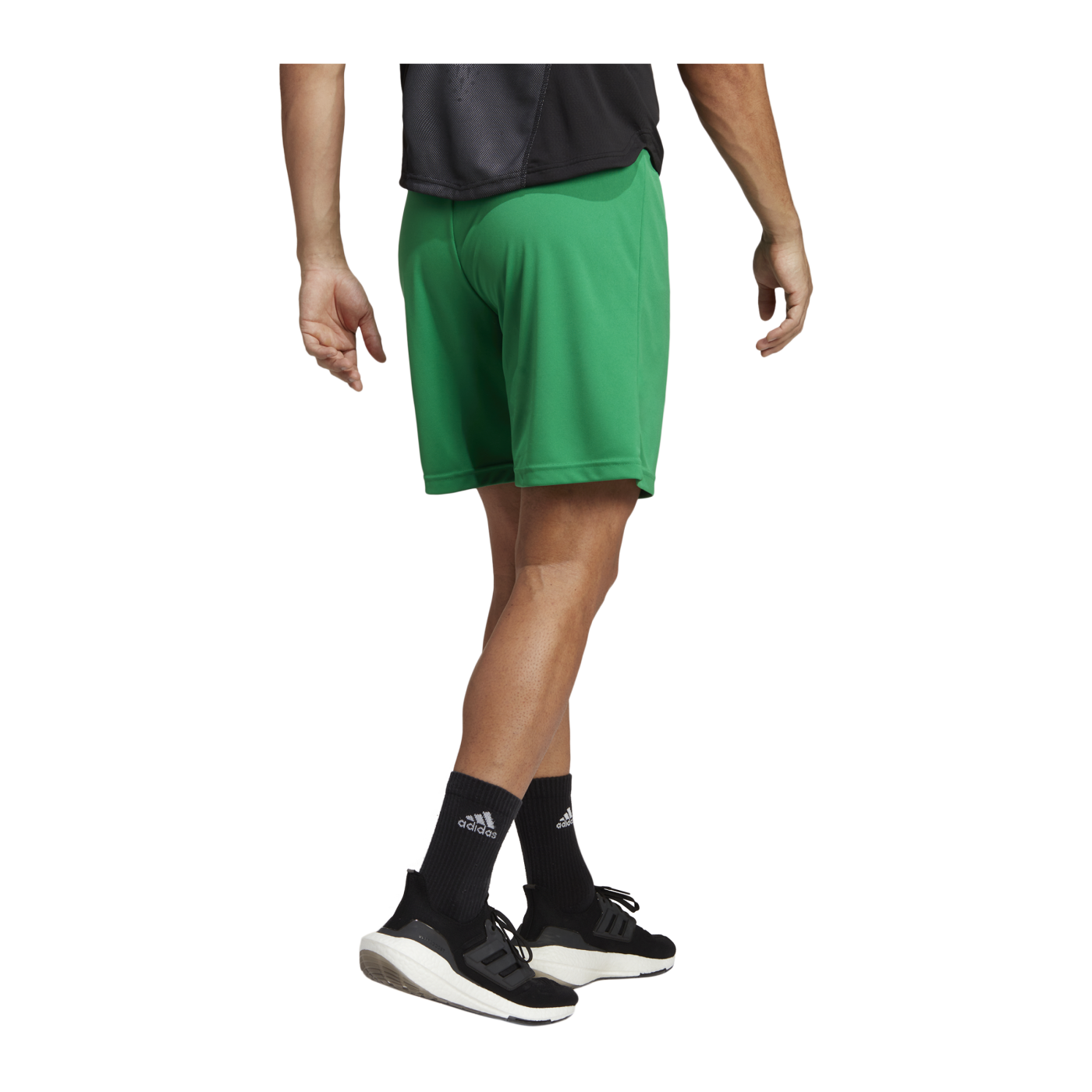 adidas Entrada 22 Short Grün