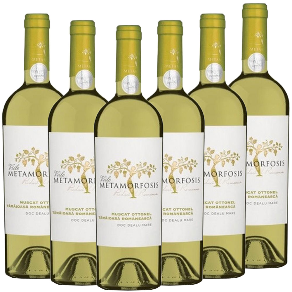 Vitis Metamorfozis VITIS METAMORFOSIS Muscat Ottonel & Tamaioasä Romaneasca - 6er Karton